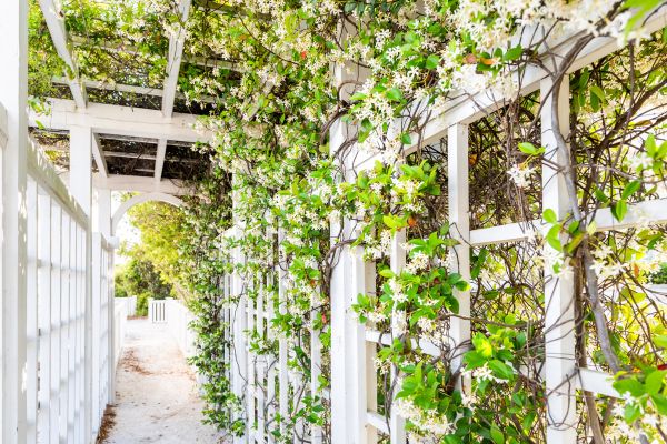Cost of Trellis Repair in Medina