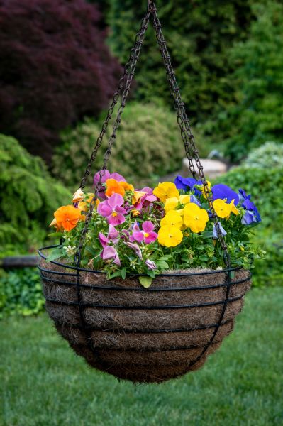 Cost of Hanging Basket Installation in Medina