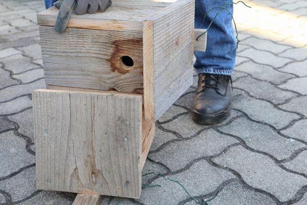 Cost of Birdhouse Mounting in Medina