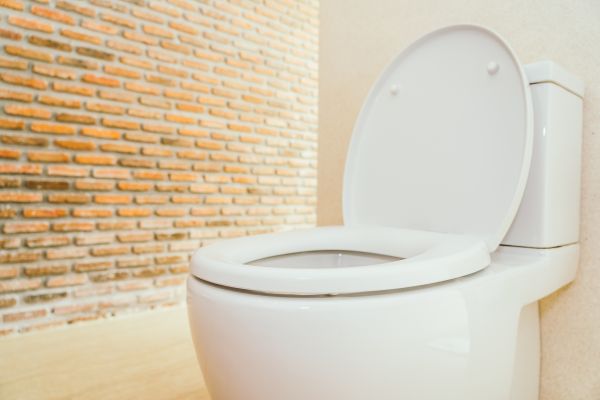 Cost of Toilet Seat Repair in Medina